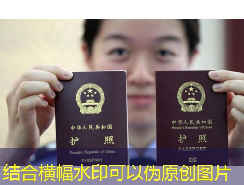 南京移民市场暗战：四大中介如何悄悄决定你的绿卡命运？